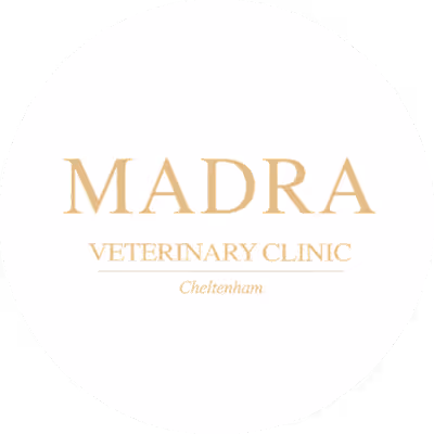 Madra