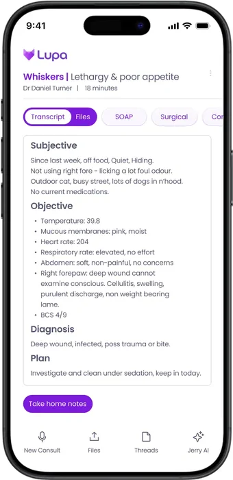 Lupa Notes generated SOAP note