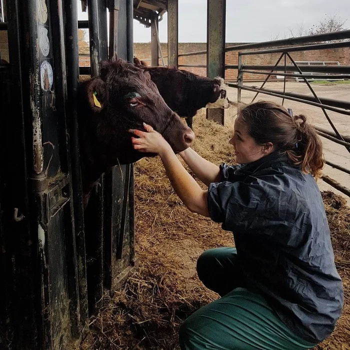 Dr Ami Sarwan, Clinical Director at Westpoint Farm Vets