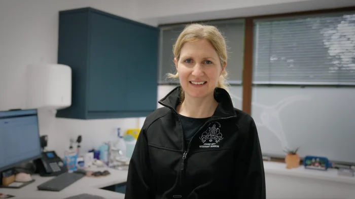 Joanne Nott, veterinary surgeon, in a modern clinic consult room