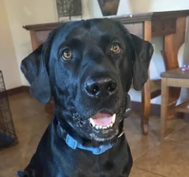 Milo